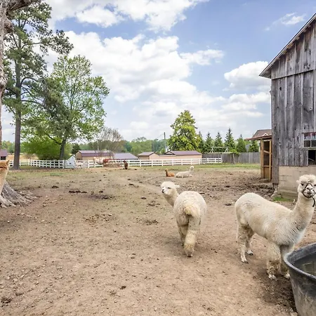 Watch Deer From A Farm Cottage Bel Air Extérieur photo